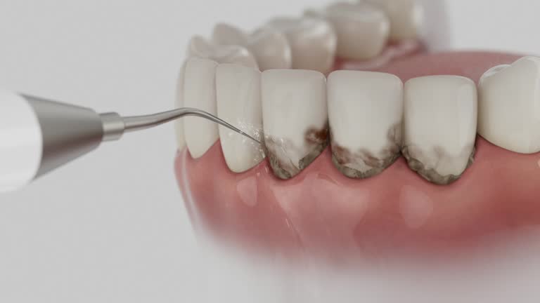 Reliable Dental contractor in Corvallis, MT by Dentist Open Now